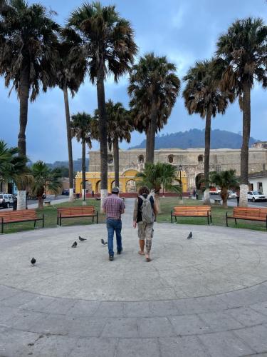 Professionelle Hilfe.