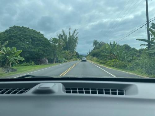 Landschaftswechsel #1000.