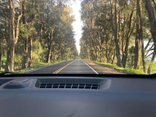 Alles neu macht der Norden.