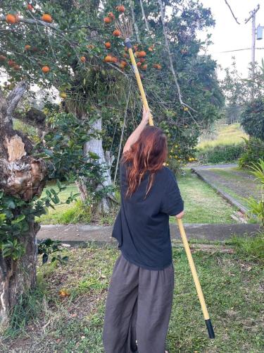 Frühstück besorgen.