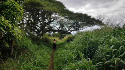 Auf den Spuren von Captain James Cook.