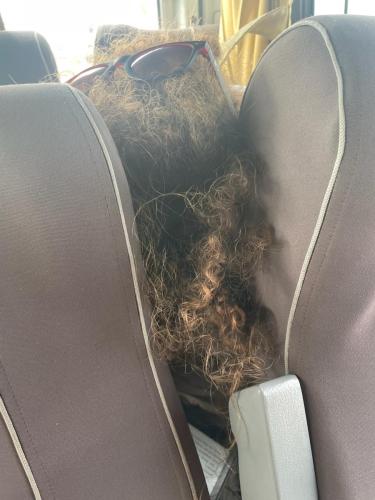 Getarnt als Leseratte.