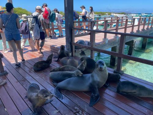 Äußerst gefährliche Gesellen.