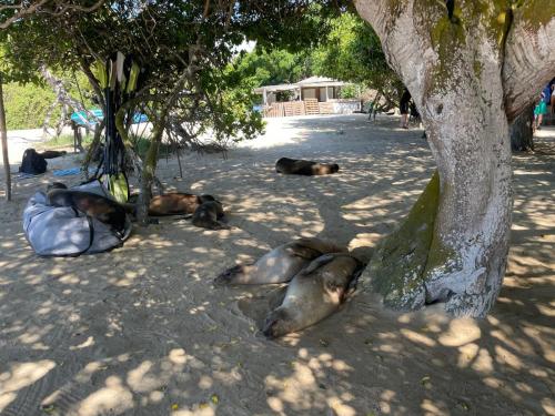 Wir ziehen schneller.