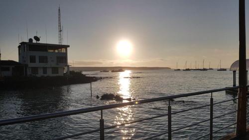 Der frühe Vogel fängt den Fisch.