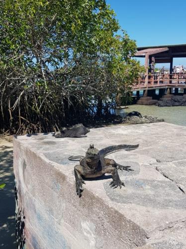 Ein erfolgreicher Tag.