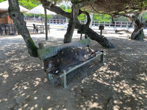 Agent Sebastian Seelöwe.