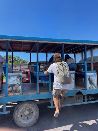 Rein ins Deppenmobil.