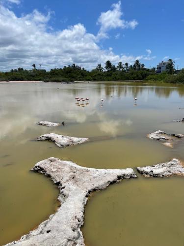 Welcher is der Richtige?