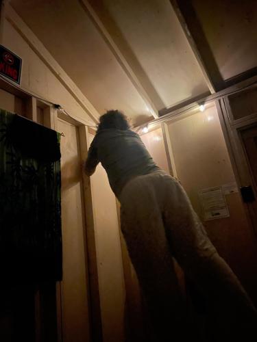 Disco disco Mattisani.