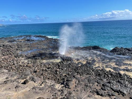 Blow Hole.