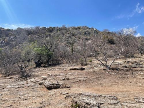 Überfahrt nach Mexiko Stadt.