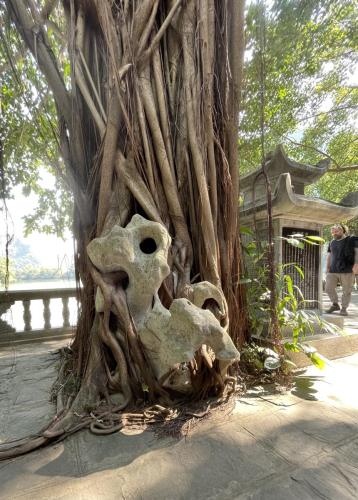 Die Natur findet immer ihren Weg.