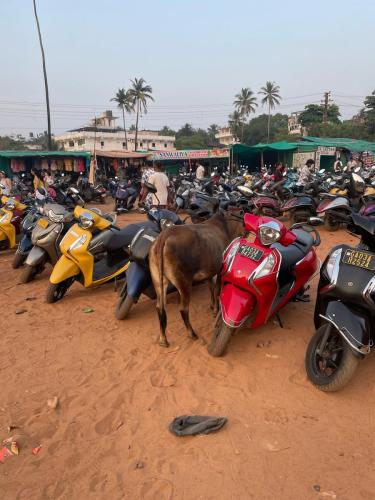Fortbewegung leicht gemacht.