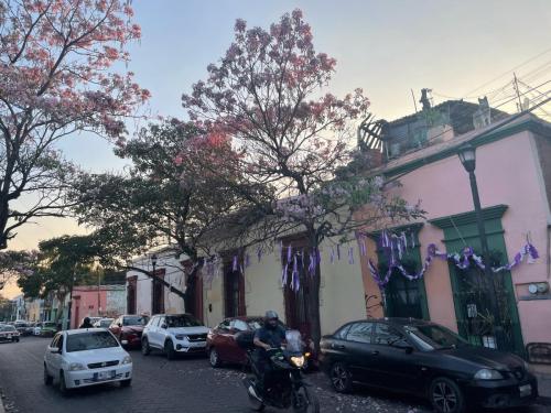 Ein Hoch auf Bäume!