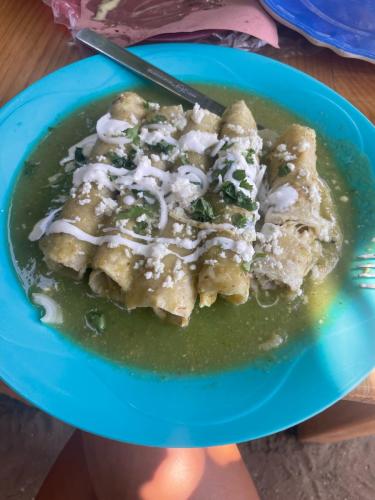 Enchiladas en salsa verde &