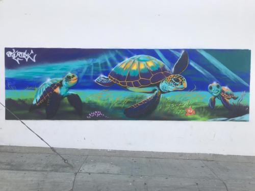 Bye bye, Puerto Escondido.