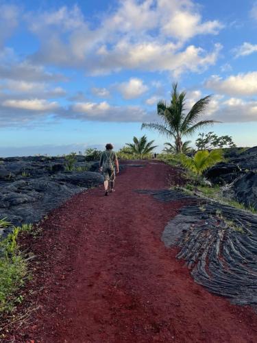 Lavafelder in Kalapana.