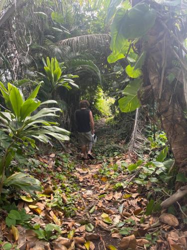 Spazieren mit Paipai.