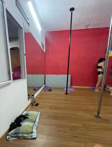 Polestudio I. 