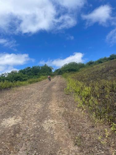 Ab hier wird geschoben.