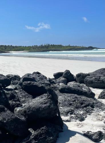 Suchbild (wieder mal).