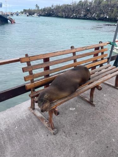 Zurück in Santa Cruz.