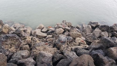 Für die guten Äuglein.